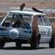 Illustration for article titled The Top 102 Lemons Of The Goin For Broken 24 Hours Of LeMons